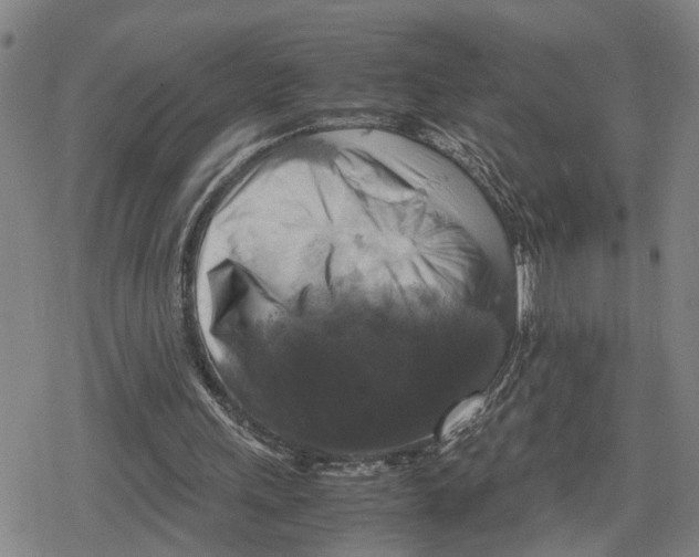 X0000079320243200612151824