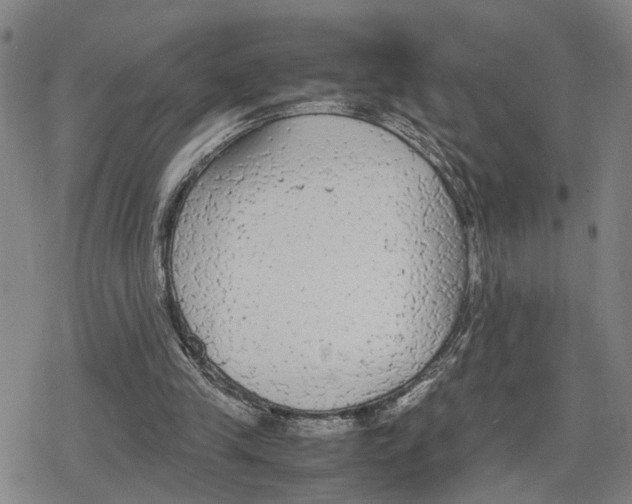 X0000079320245200612151824