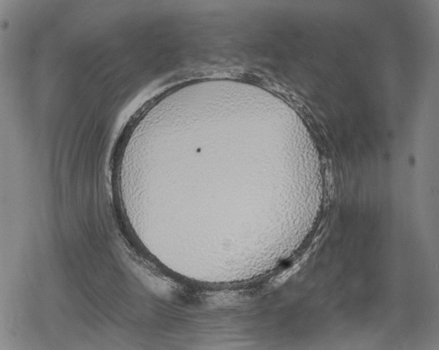 X0000079320246200612151824