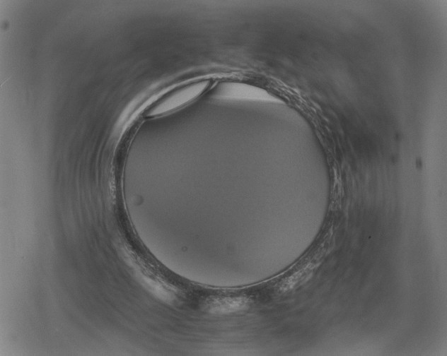 X0000079320247200612151824