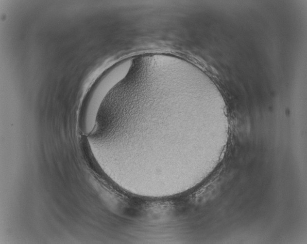 X0000079320248200612151824