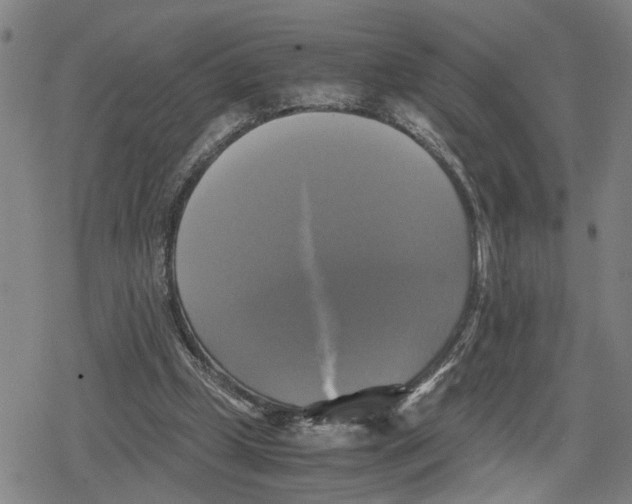 X0000079320249200612151824