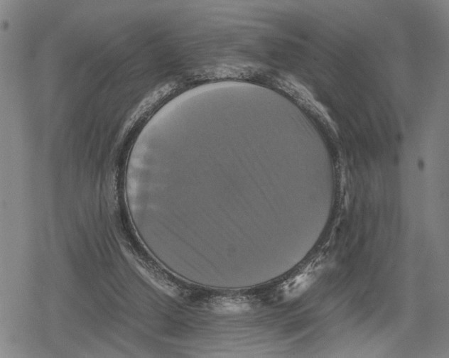 X0000079320250200612151824