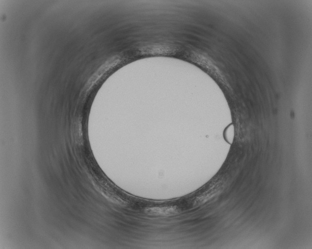 X0000079320251200612151824