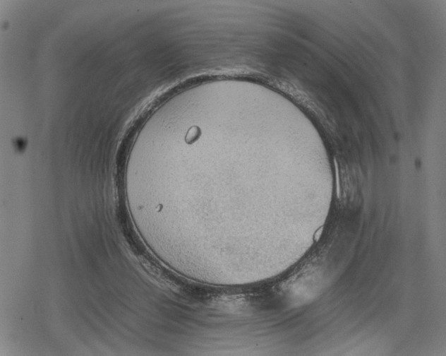 X0000079320252200612151824