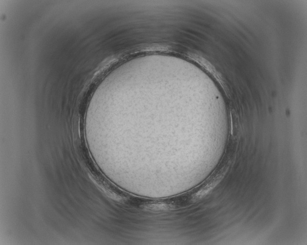 X0000079320253200612151824