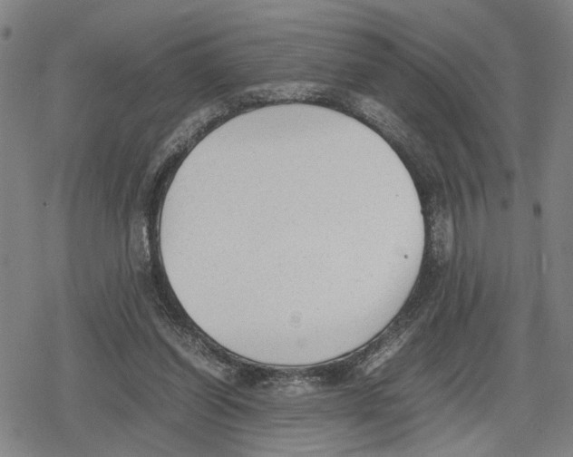 X0000079320254200612151824