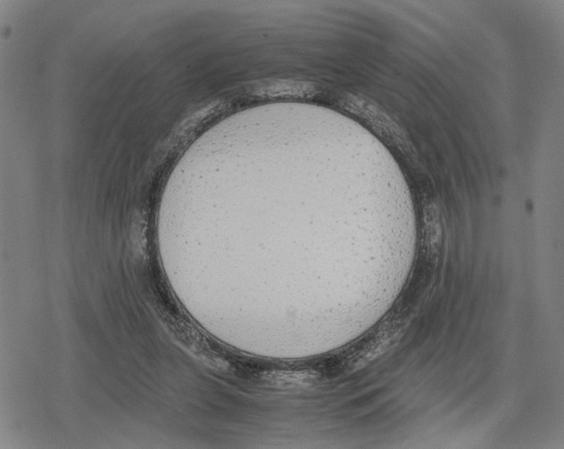 X0000079320255200612151824