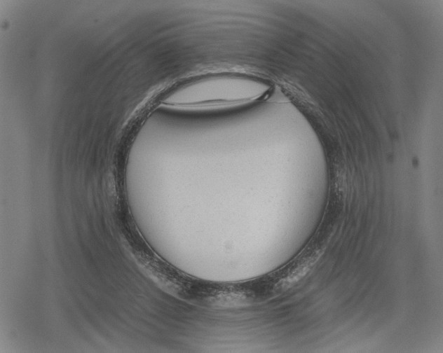 X0000079320256200612151824