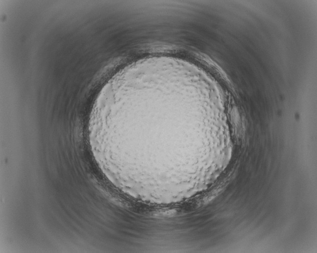 X0000079320257200612151824