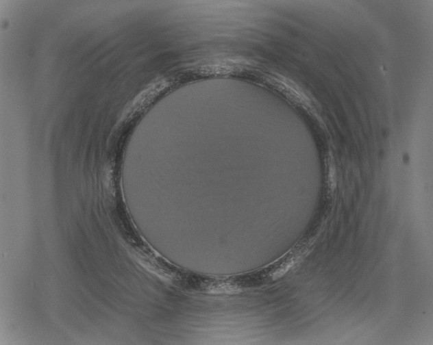 X0000079320258200612151824