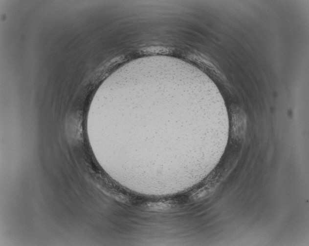 X0000079320259200612151824