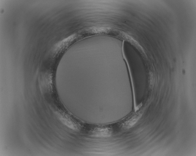 X0000079320260200612151824