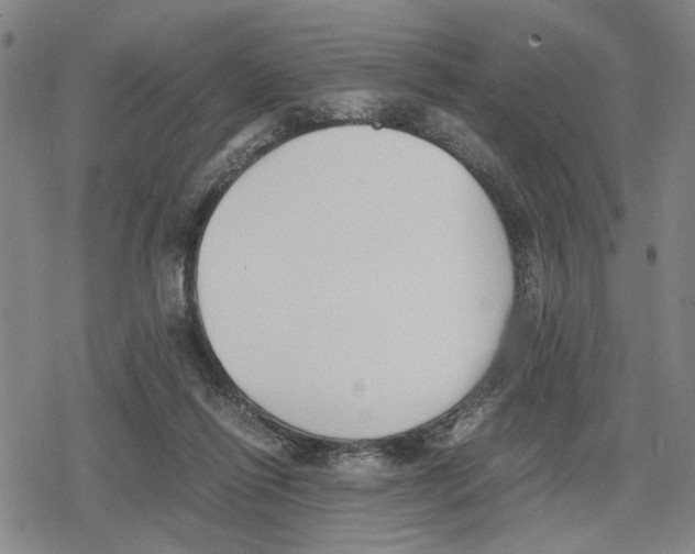 X0000079320262200612151824