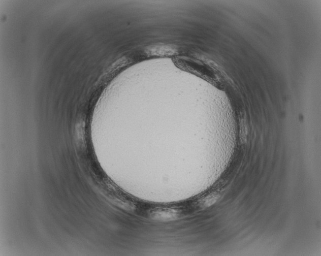 X0000079320263200612151824