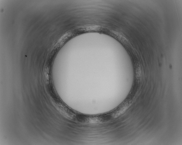 X0000079320264200612151824