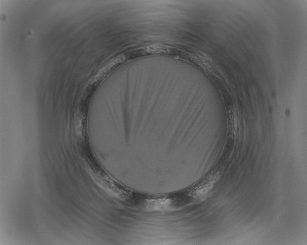 X0000079320266200612151824