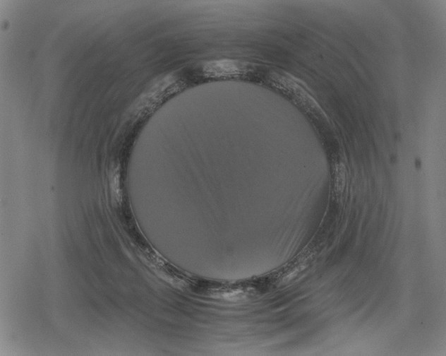 X0000079320267200612151825