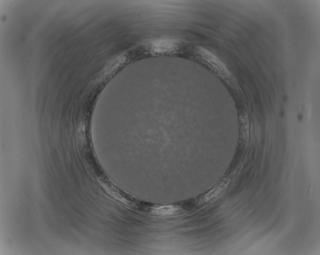 X0000079320269200612151825