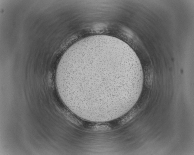 X0000079320270200612151825