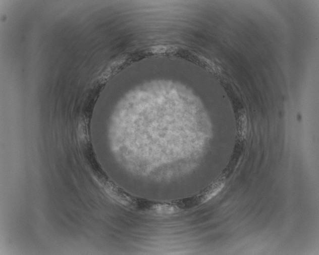 X0000079320272200612151825