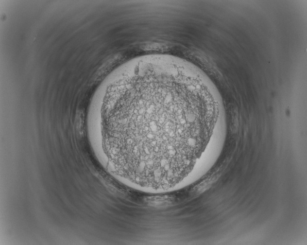 X0000079320273200612151825