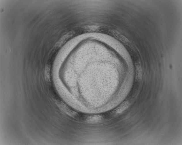 X0000079320274200612151825