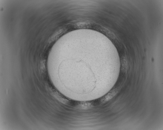 X0000079320278200612151825