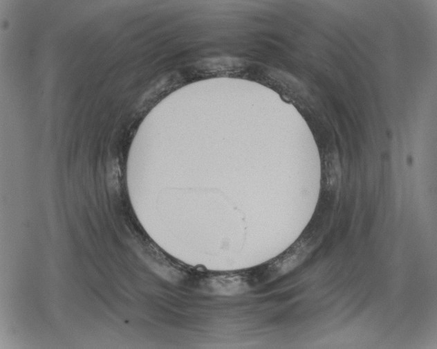 X0000079320279200612151825