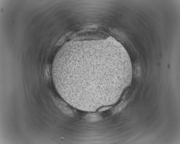 X0000079320280200612151825