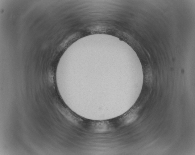 X0000079320282200612151825