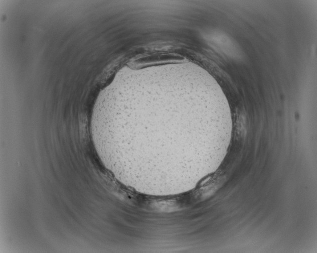 X0000079320283200612151825