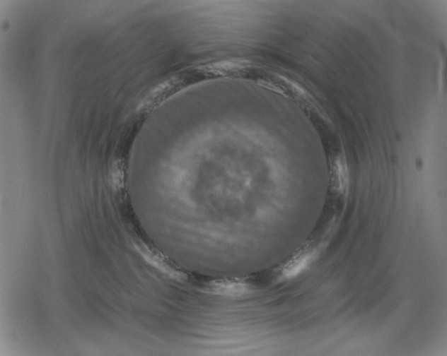 X0000079320284200612151825