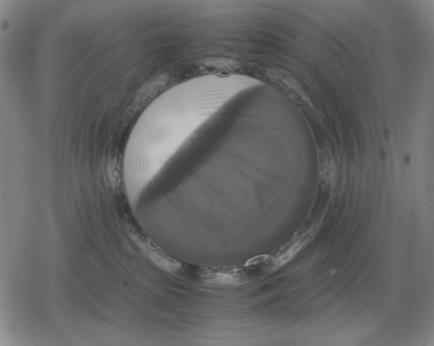 X0000079320285200612151825