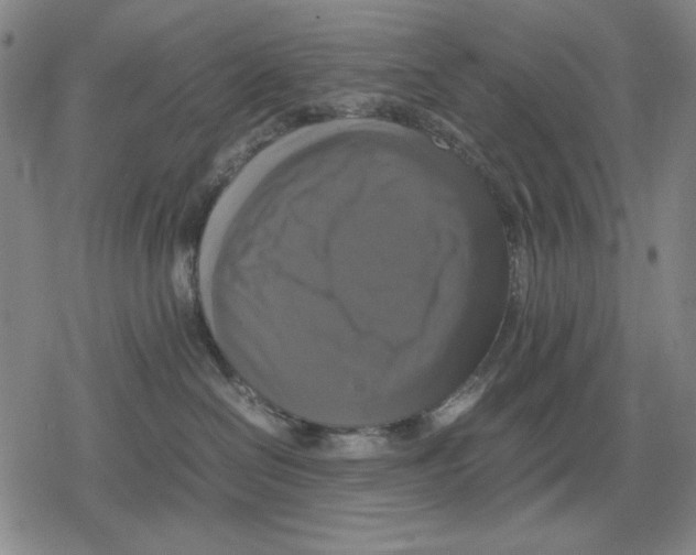 X0000079320286200612151825