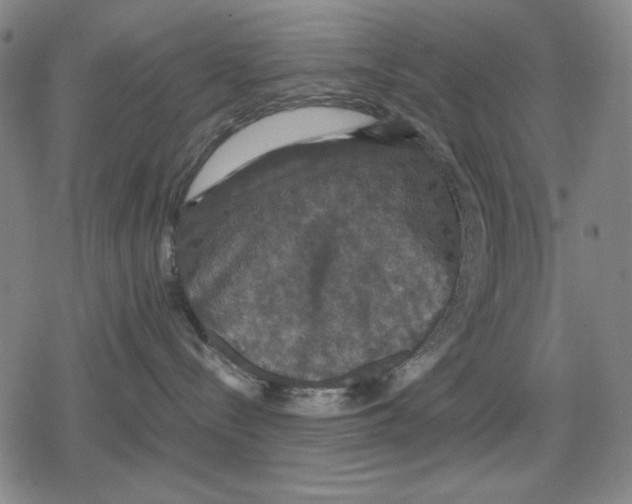 X0000079320288200612151825