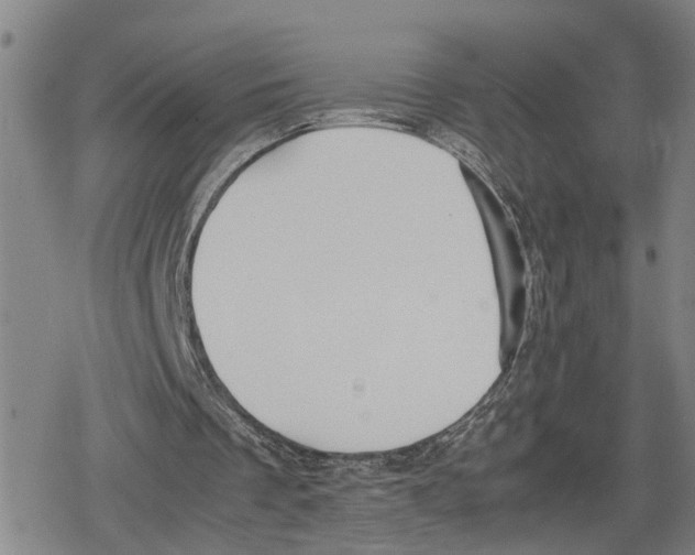 X0000079320289200612151824