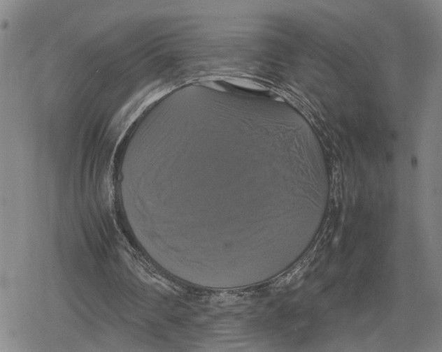 X0000079320290200612151824