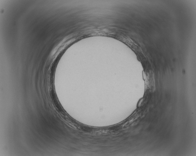 X0000079320291200612151824