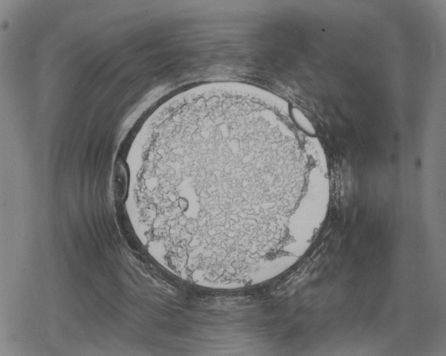 X0000079320292200612151824