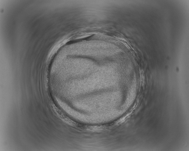 X0000079320293200612151824