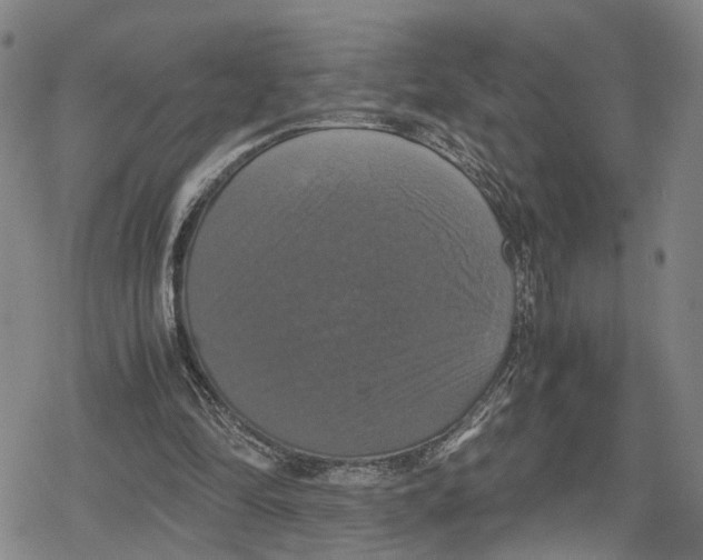 X0000079320294200612151824