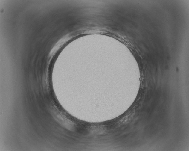 X0000079320296200612151824