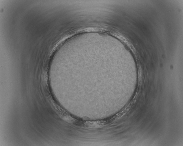 X0000079320297200612151824