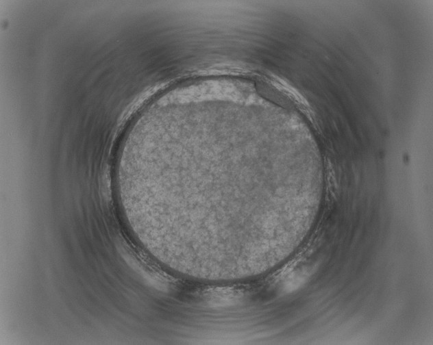 X0000079320298200612151824