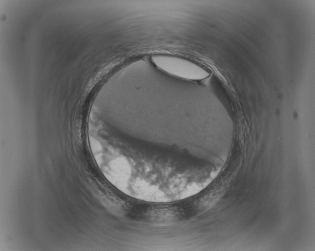 X0000079320299200612151824