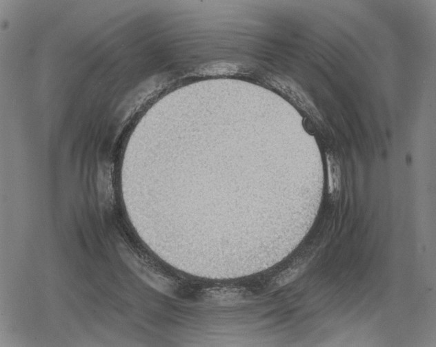 X0000079320300200612151824