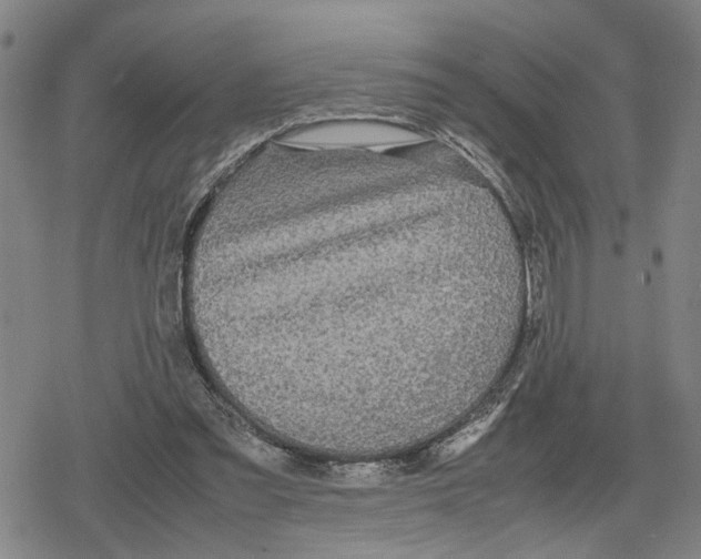 X0000079320301200612151824