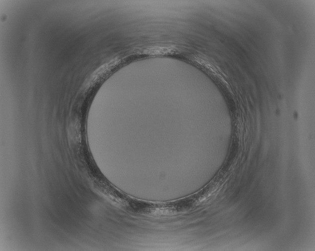 X0000079320303200612151824