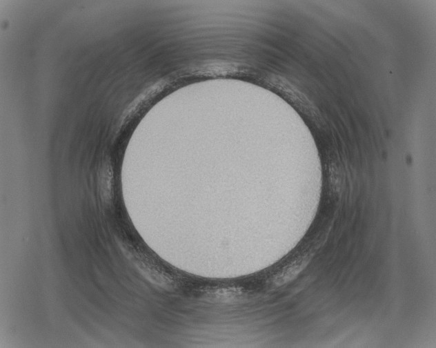 X0000079320304200612151824